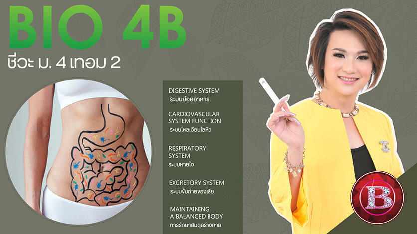 Bio 4B