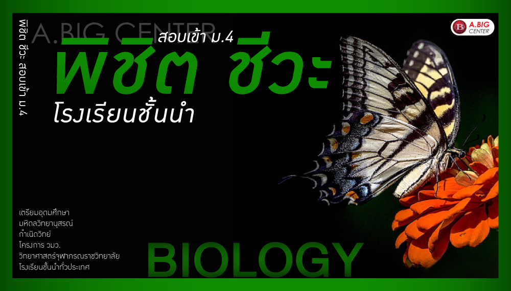 พิชิต ชีวะ สอบเข้า ม.4 ( TU MWIT KVIS จภ วมว และโรงเรียนชั้นนำ)