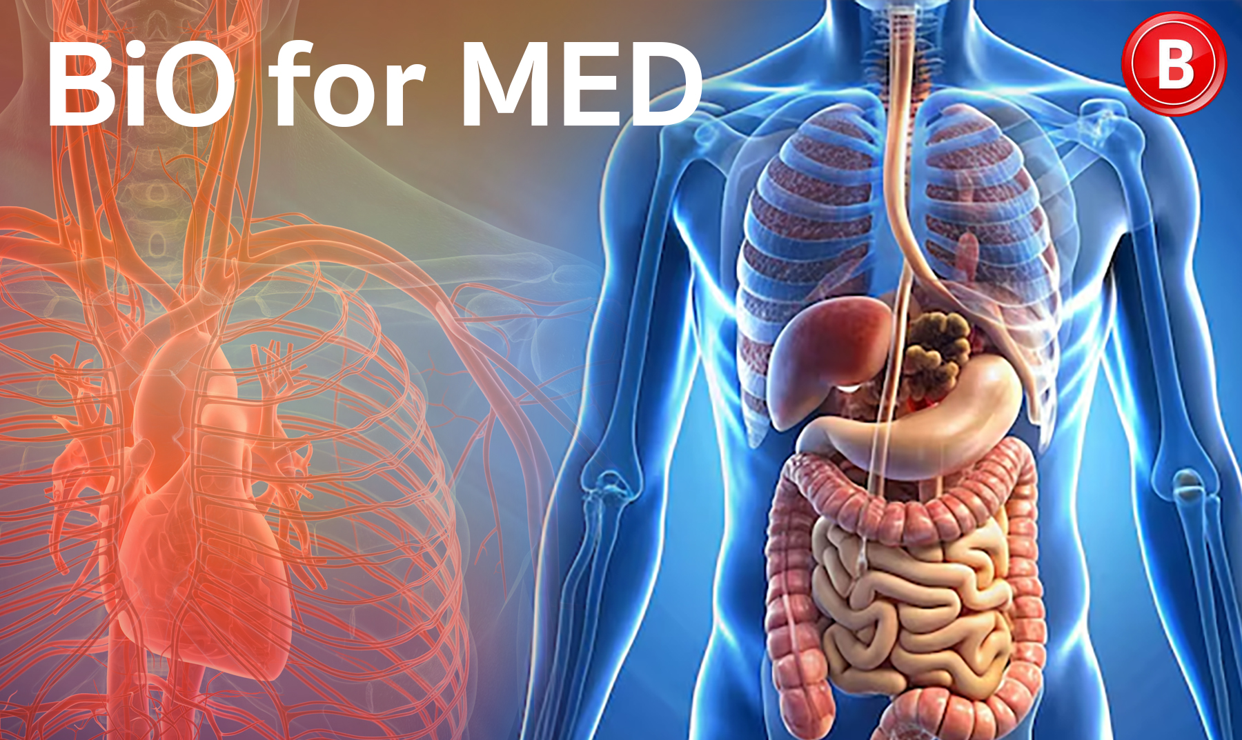 BiO for MED