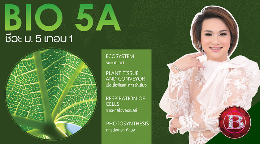 Bio 5A