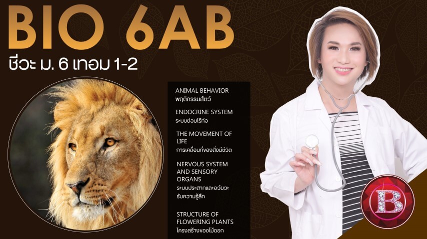Bio 6AB